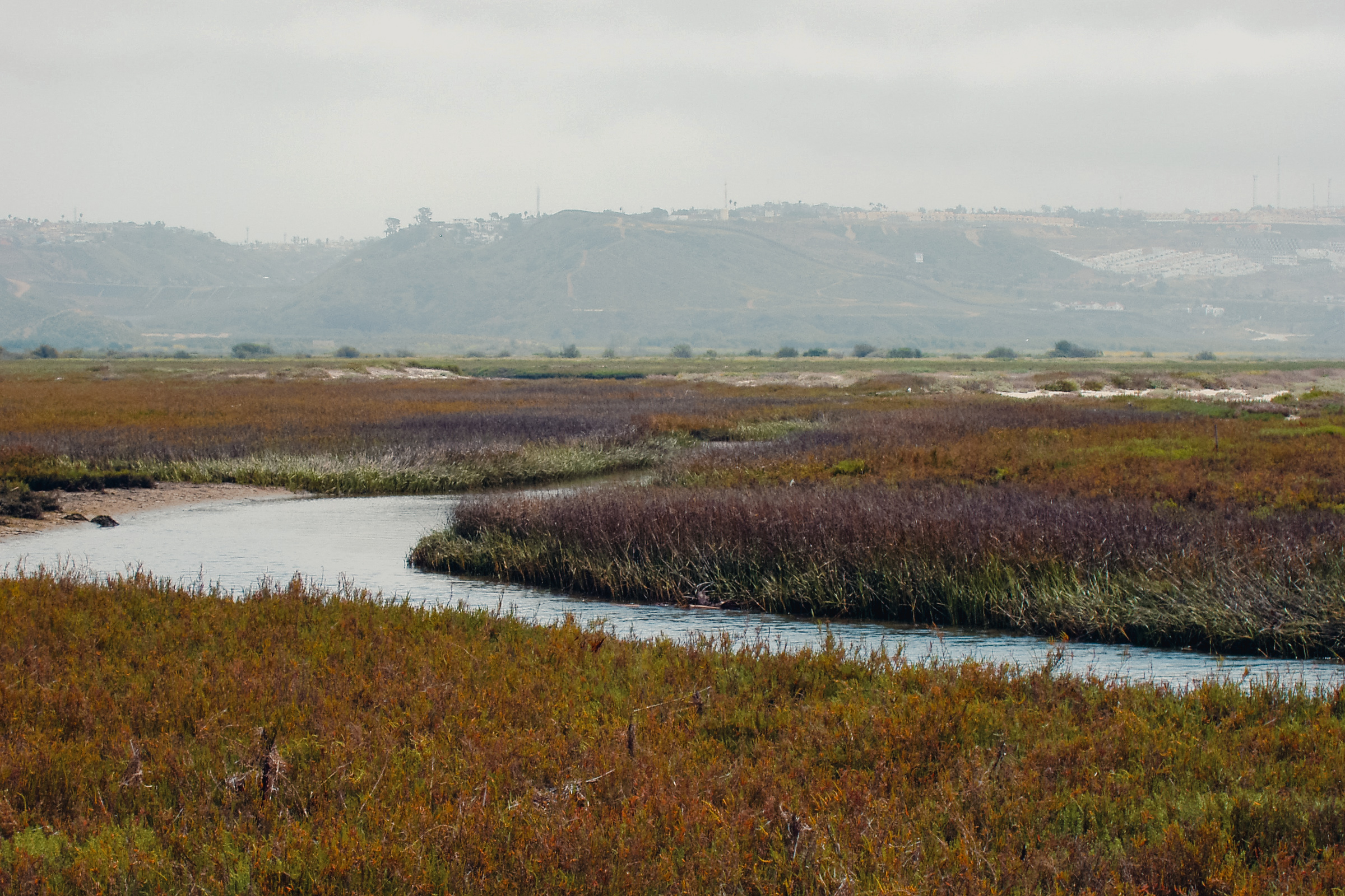 4 of 6, Water stream in the Tijuana River Estuary